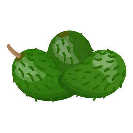Green soursop icon cartoon vector. Graviola annona. Muricata treeのイラスト素材