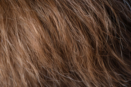 Hairless Man hair loss head. Failure stress. Generate Aiの素材