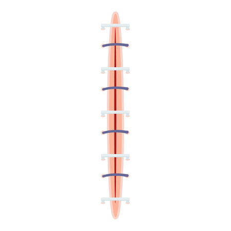 Suture laceration icon cartoon vector. Injury cut skin. Medic scar instrumentのイラスト素材
