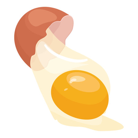 Firm ovules meal icon cartoon vector. Broken egg. Chick protein foodのイラスト素材