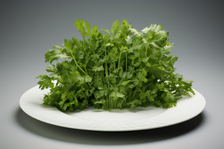 Bright Fresh parsley plate. Green healthy kitchen plant on wooden table. Generate aiの素材