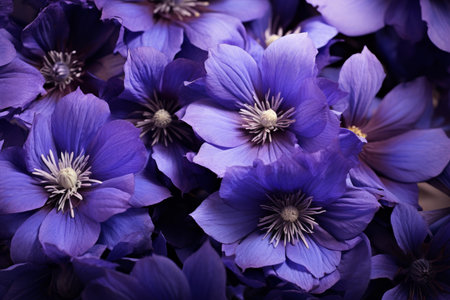Captivating Purple flowers closeup. Blossom nature. Generate Aiの素材