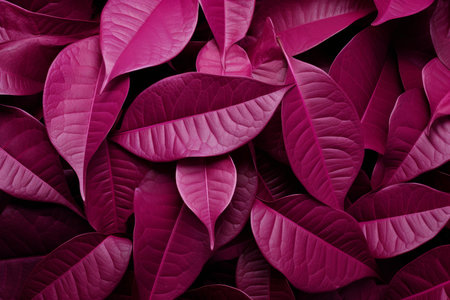 Close-up of rich purple leaves creating a natural textured backdropの素材