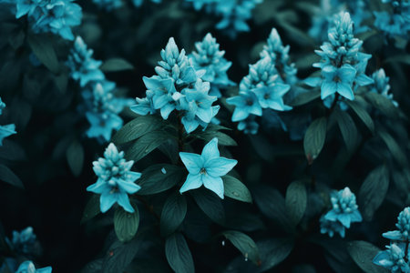 Aquatic-toned Teal flowers bush plant. Flora bloom. Generate AIの素材