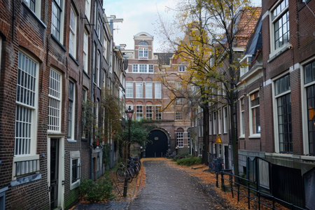 Picturesque view of a narrow street with brick buildings and fallen autumn leaves in amsterdam, netherlandsの素材