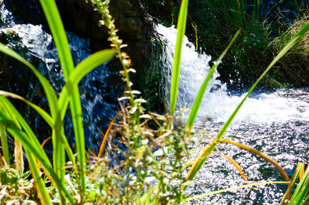 waterfall in the forest, photo as a background, digital imageの写真素材