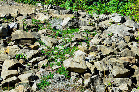 Stone wall in the park, close-up. Nature background.