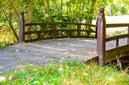 Wooden bridge in the park with green grass and fallen leaves.の写真素材