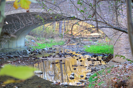 Ducks swimming in a small brook under an old bridge.の写真素材