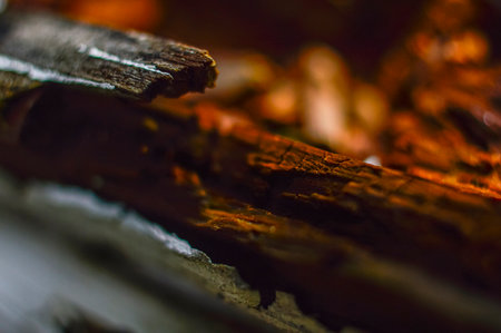 Close up of a firewood burning in the fireplace. Selective focus.の写真素材