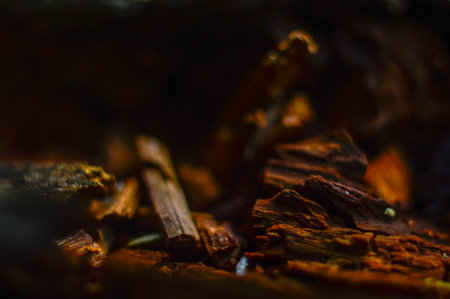 Close up of firewood in the fireplace with shallow depth of fieldの写真素材