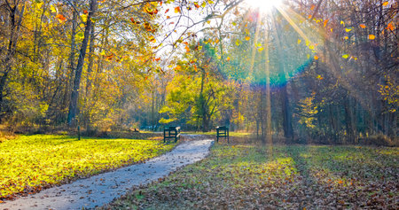 Sunny autumn park with bench and sunbeams in the backgroundの写真素材