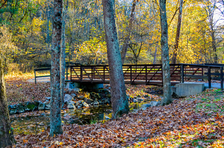 A wooden bridge over a small creek in the park in autumn.の写真素材