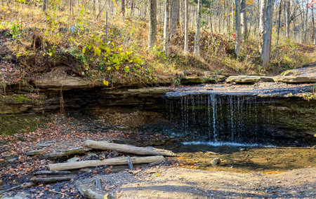 Gentle Forest Waterfall Flowing Over Rocky Ledge in Autumnの写真素材
