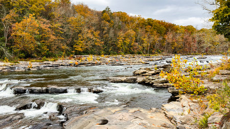 Autumn view of the river and the forest in Shenandoah National Park, Virginia.の写真素材