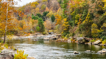 Autumn landscape with river and colorful forest. Colorful foliage on the banks of the river.の写真素材