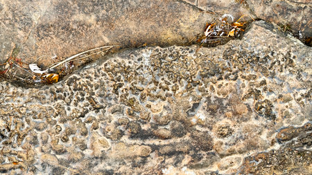 Ancient Stone Surface with Natural Mineral Patterns and Texturesの写真素材