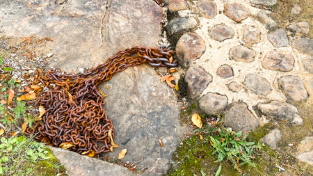 Rusty chain on the ground in the park, close-upの写真素材