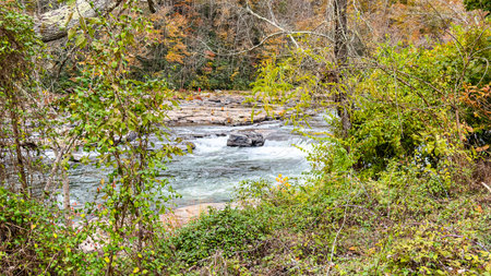 Mountain river flowing through the forest. Beautiful autumn landscape with mountain river.の写真素材