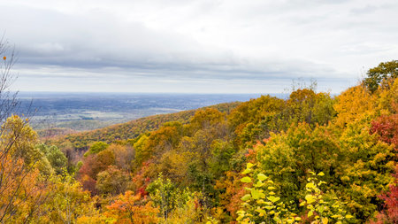 Autumn landscape with colorful forest and cloudy sky. View from the top of the mountain.