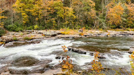 Autumn landscape with a mountain river and rocks covered with yellow leavesの写真素材