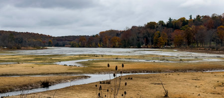 Panoramic view of the lake in the autumn forest. Nature background.の写真素材