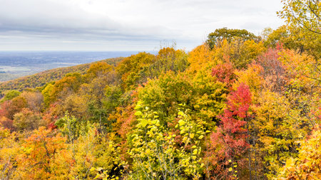 View of the Shenandoah National Park in Virginia during foliage season.の写真素材
