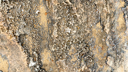 Ancient Cave Wall with Natural Rock Formations and Textured Surfaceの写真素材