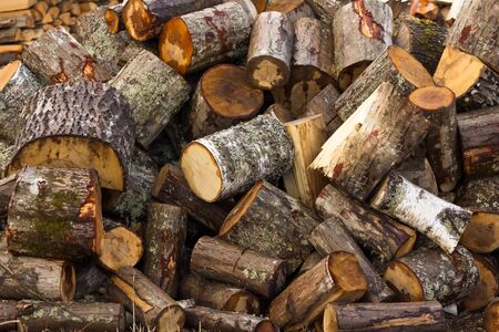 trees chopped into wood on the background of the forestの写真素材