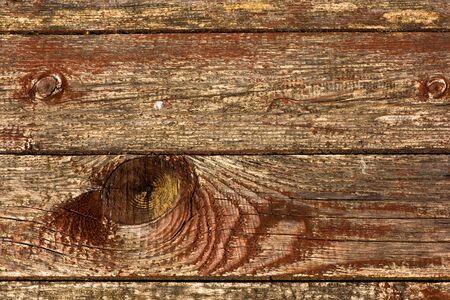 taupe wood texture with gray veins and knotsの写真素材