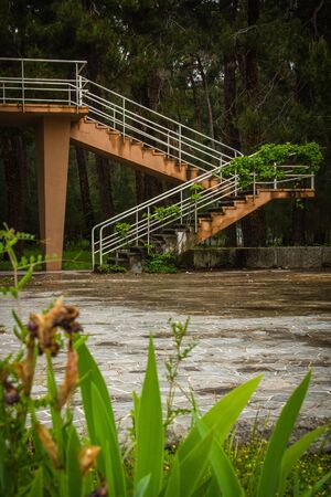 abandoned stairs in the forestの写真素材