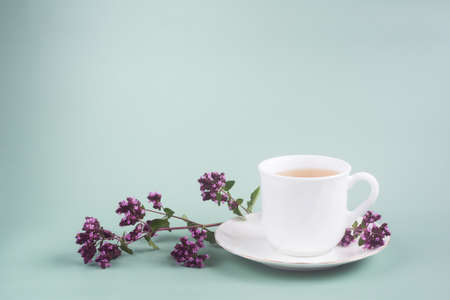 a white Cup of tea with a sprig of oregano stands on the table on a gray-green background, morning teaの写真素材
