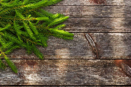 Christmas background for greeting card. Fir branches on wooden background.の写真素材