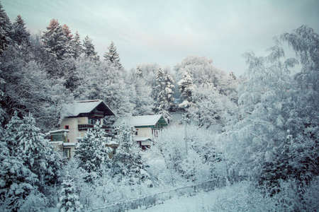 village houses in the snow in the winter forestの写真素材