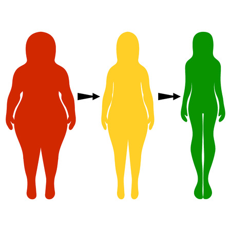 Silhouettes of women thick and thin. The concept of a healthy lifestyle and unhealthy eating habits. Vector illustration, hand drawnのイラスト素材
