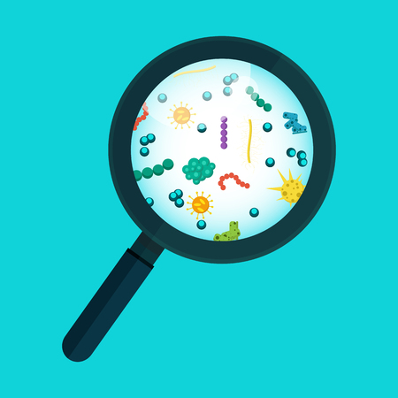 Germs under the microscope. Vector illustrationのイラスト素材