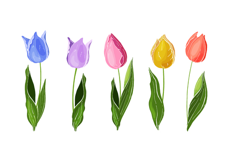 Hand drawn vector colorful tulips set. Flowers isolated on background. Vectorのイラスト素材