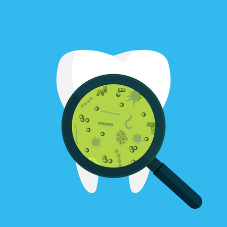 Bacteria on a human white tooth being viewed on a magnifying glass. Vector illustrationのイラスト素材
