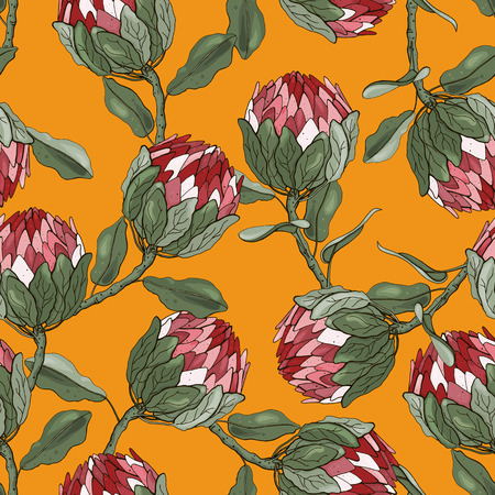 Protea Flowers hand drawn seamless pattern. Tropical floral vector illustration for fashion, fabric. Surface and textile printのイラスト素材