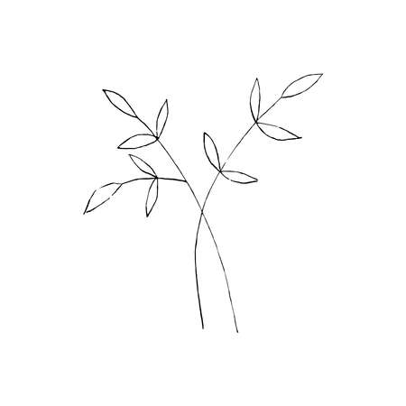 Black and white line art decoration of leaves. Vector isolated clipart. Minimal monochrome hand drawing botanical design. Contour engraving foliageのイラスト素材