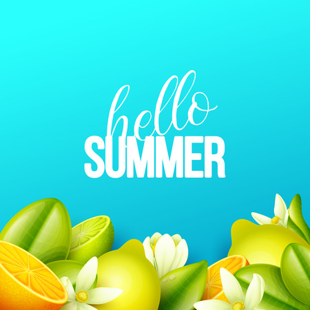 Summer background with fruits. Vector illustration.のイラスト素材