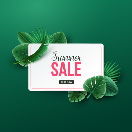 Beautiful summer sale background with palm leaves. Vector illustration.のイラスト素材