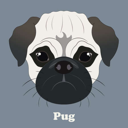 Pug. Print with a beautiful dog with a backgroundのイラスト素材