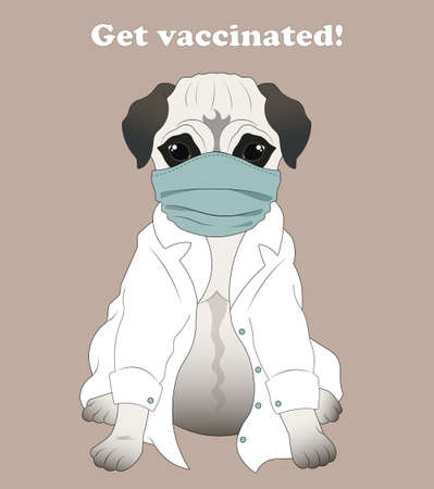Pug in a medical coat and mask. Get vaccinated.のイラスト素材