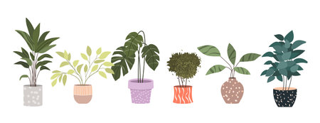 Plants in Flowerpots. Home Decor. A Collection of Various Houseplants. Hand-Drawn Vector Illustrations on White Background. Isolated and Ready for Use.のイラスト素材