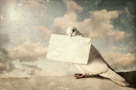White Homing pigeon with letter. Ancient cardの写真素材