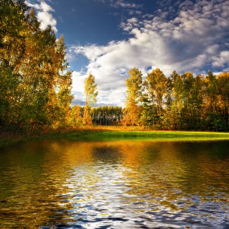  Beautiful landscape with summer forest and lake の写真素材