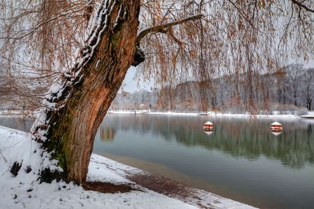 Winter park with alley and pondの写真素材