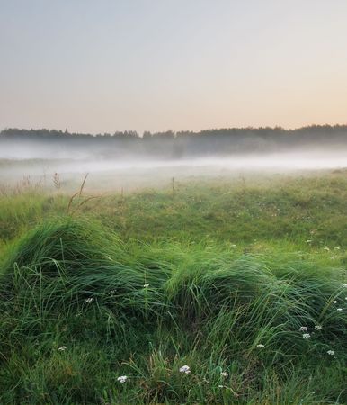 Rural landscape with fog on sunsetの写真素材