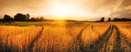 Autumn rural panoramaの写真素材